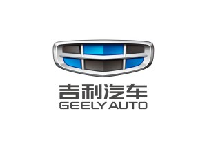 合作企业