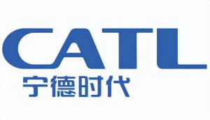 合作企业